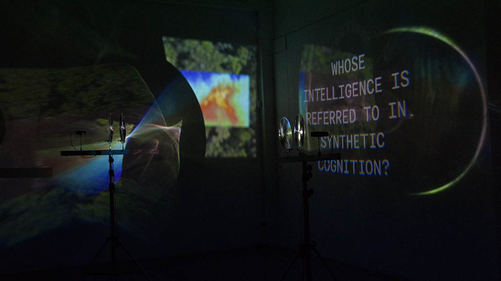 A Structural Plan for Imitation: Engines of Differentiation